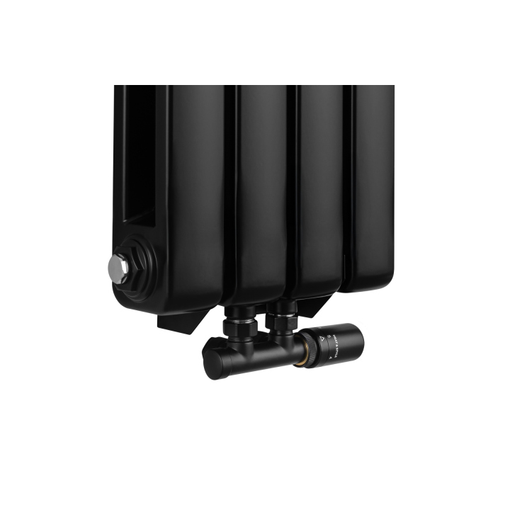 Grzejnik dekoracyjny Buffalo BF2 1800x300 czarny