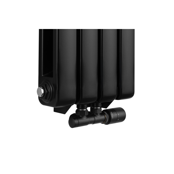 Grzejnik dekoracyjny Buffalo BF2 1800x300 czarny