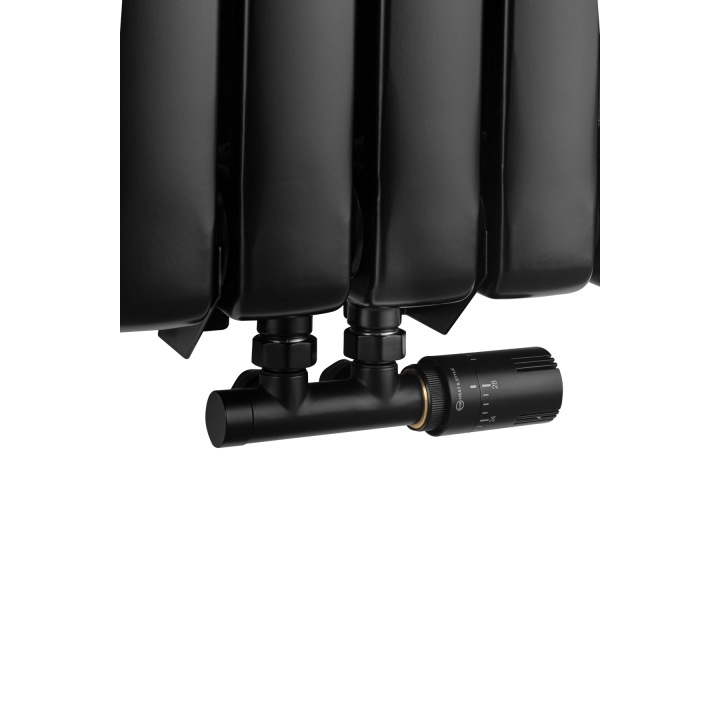 Grzejnik dekoracyjny Buffalo BF2 1800x440 czarny