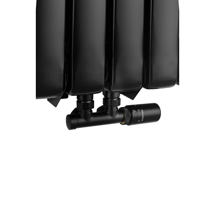 Grzejnik dekoracyjny Buffalo BF2 1800x440 czarny