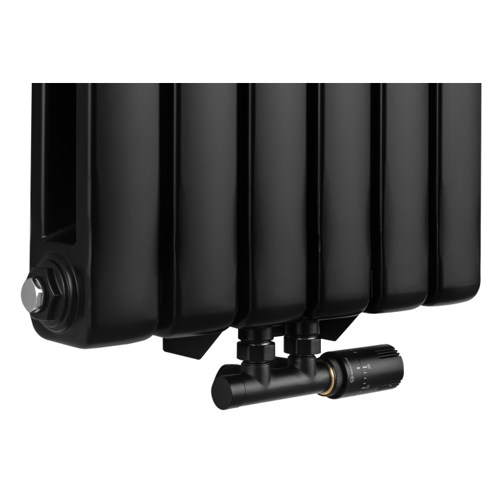 Grzejnik dekoracyjny Buffalo BF2 1800x440 czarny