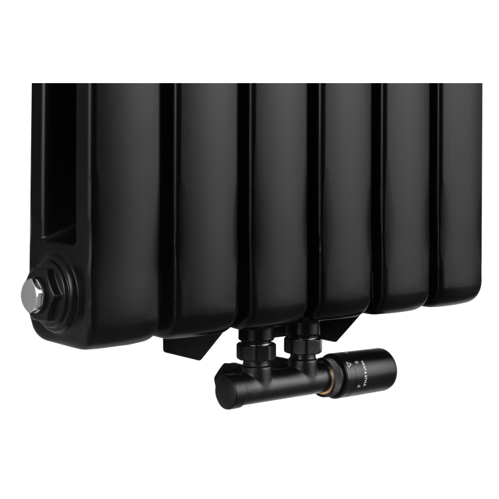 Grzejnik dekoracyjny Buffalo BF2 1800x440 czarny