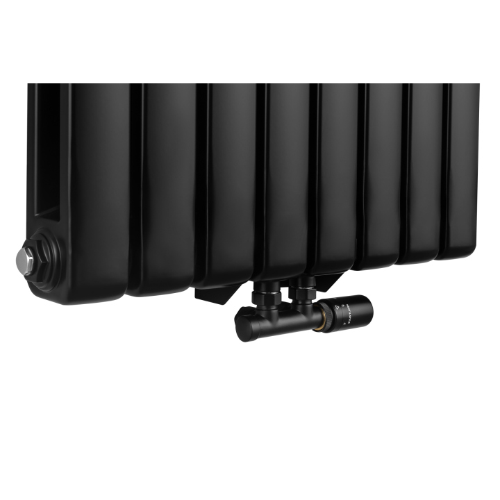 Grzejnik dekoracyjny Buffalo BF2 1800x580 czarny