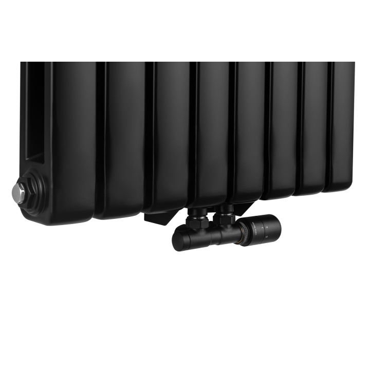 Grzejnik dekoracyjny Buffalo BF2 1800x580 czarny