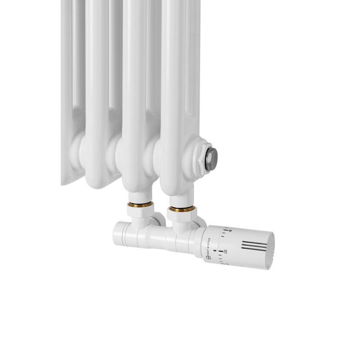 Grzejnik żeberkowy poziomy retro Column Line CL2E-575x470-D50L/P biały
