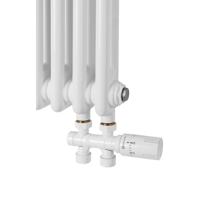 Grzejnik żeberkowy poziomy retro Column Line CL2E-575x470-D50L/P biały