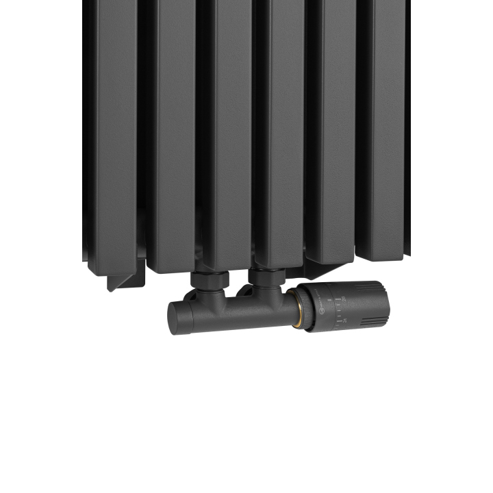 Grzejnik dekoracyjny Nomad ND1E 1800x630 grafit