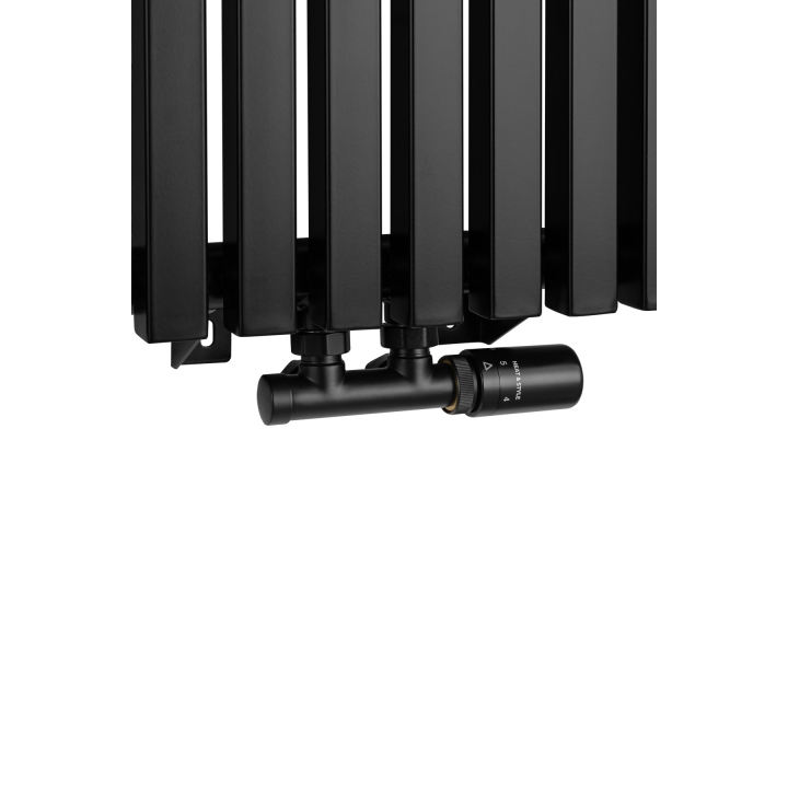Grzejnik dekoracyjny Nomad ND1E 1800x630 czarny
