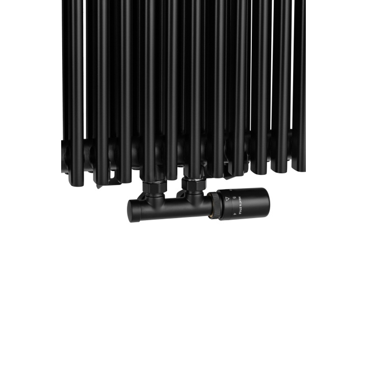 Grzejnik dekoracyjny Edo ED2E 1800x507 czarny