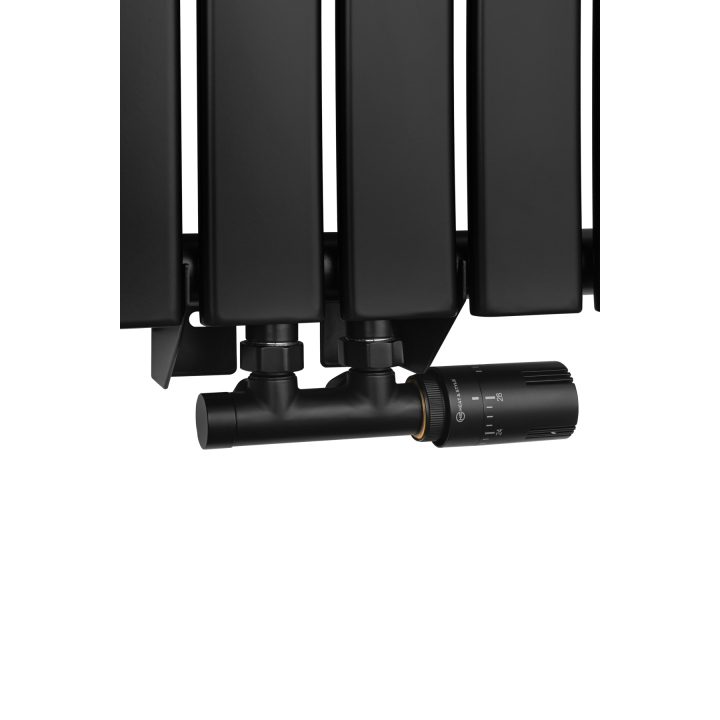 Grzejnik dekoracyjny Wanted WD1 1800x408 czarny