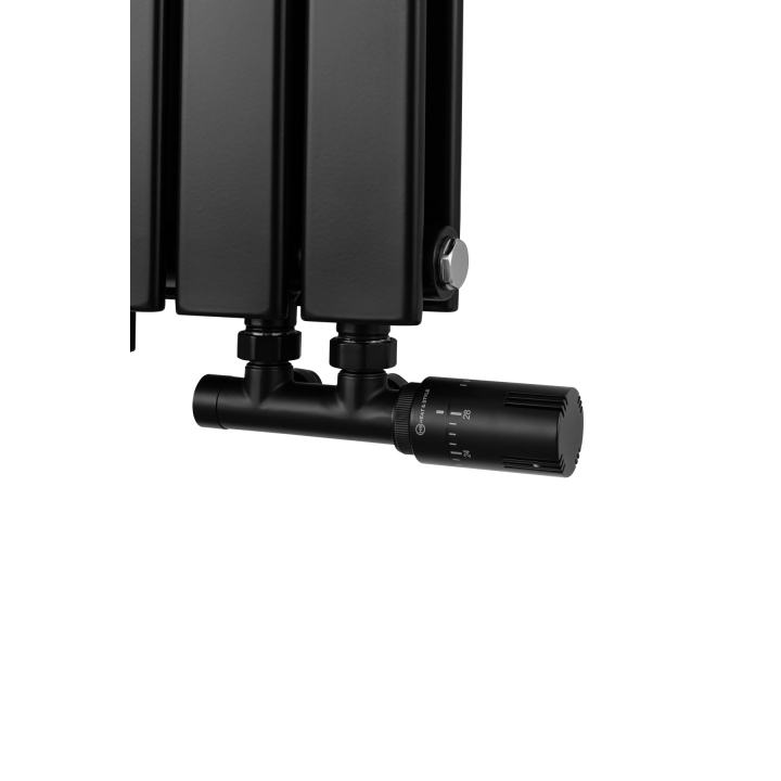 Grzejnik dekoracyjny poziomy Wanted WD2E 600x816 czarny