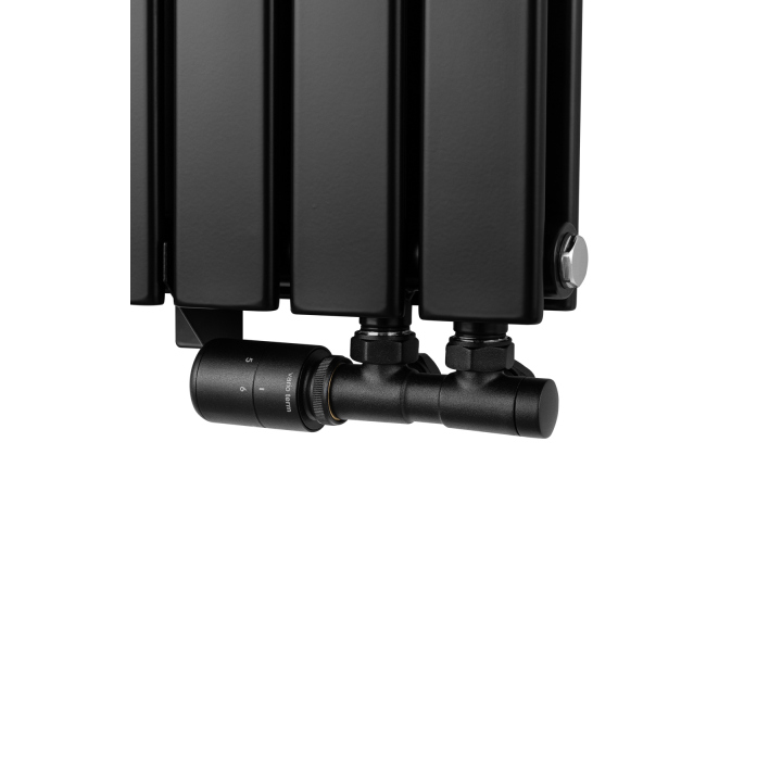 Grzejnik dekoracyjny poziomy Wanted WD2E 600x816 czarny