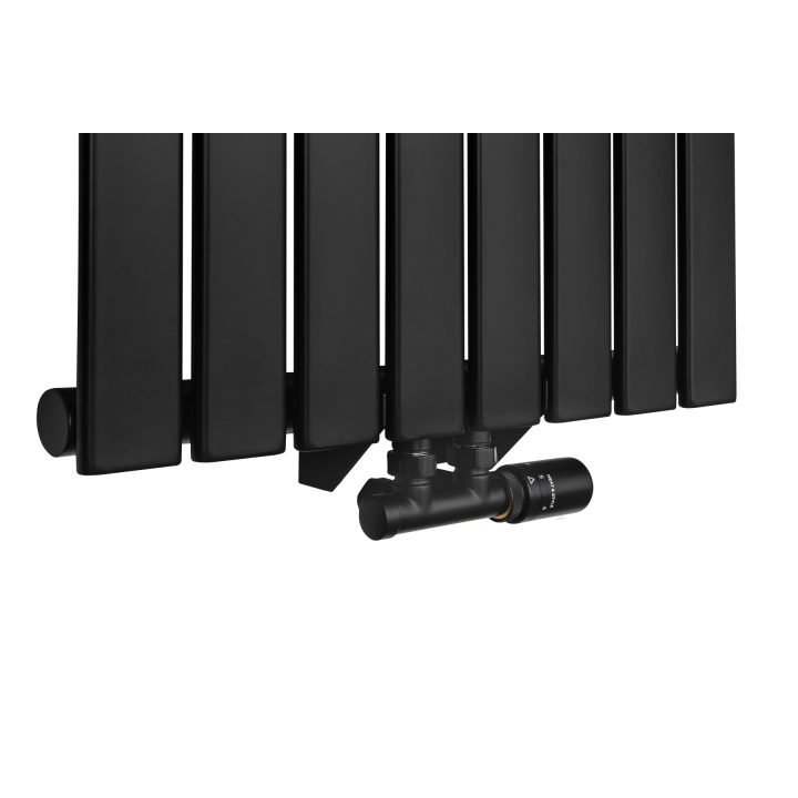 Grzejnik dekoracyjny Wanted WD1 1600x544 czarny